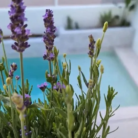 Loft With Private Pool In شقة *