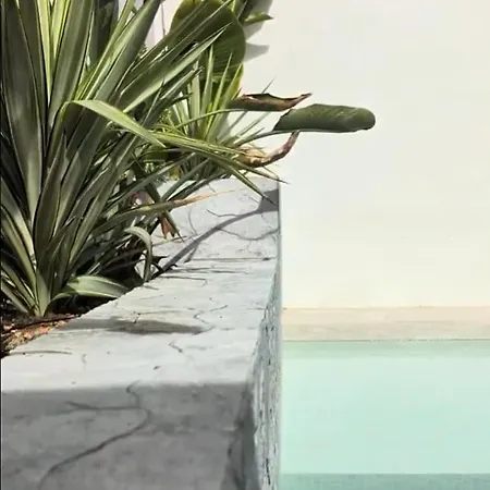 Loft With Private Pool In * Alzira